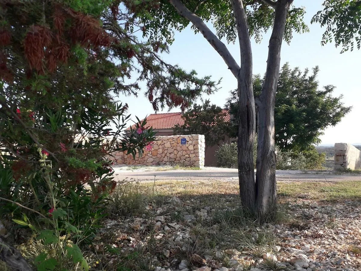 Apartmani Ante Jovici  Jovici (Zadar)